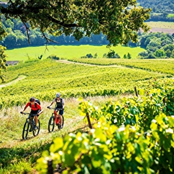 Le Gaillardon - 66R - VOITEUR