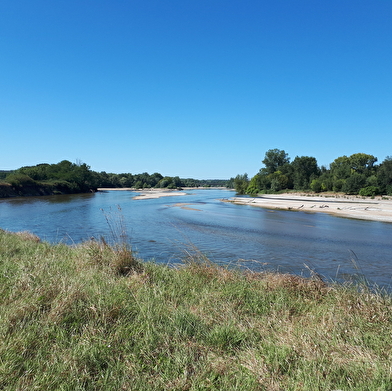 Balade famille : Sentier-nature du Passeur du Bec d'Allier
