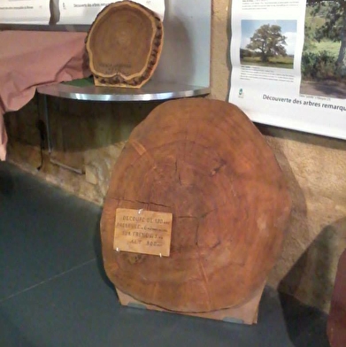 Exposition au Musée de l'Elevage et du Charolais