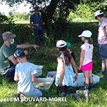 Partons à la découverte du Plancton - CUISERY