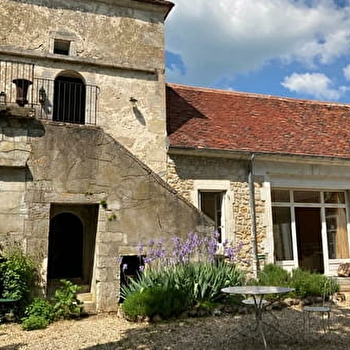 La Plante - Le Logis du Tilleul - COULANGES-SUR-YONNE