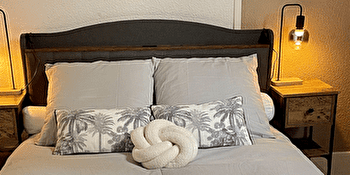 Le Petit Belin - DIJON