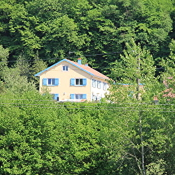 La mésange bleue - SAINT-BARTHELEMY