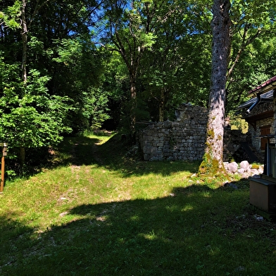 Parcours trail : Chanduraz depuis Chavornay