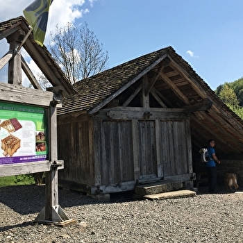 Aire de pique du chalot - SAINT-BRESSON