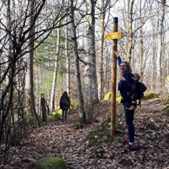 Petits ponts de granit sur la rivière Romanée et Pierres de Légendes de Saint-Martin - SAINT-GERMAIN-DE-MODEON