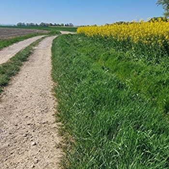 Circuit Gravel n°11 (bleu) - Prairie de Jayat - Chartreuse de Montmerle - MALAFRETAZ