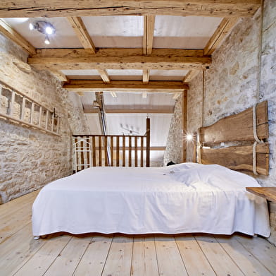 Abricosy côté jardin