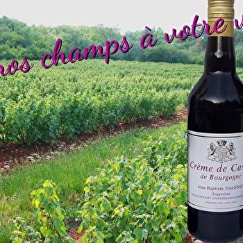 Liqueurs Jean-Baptiste Joannet - ARCENANT
