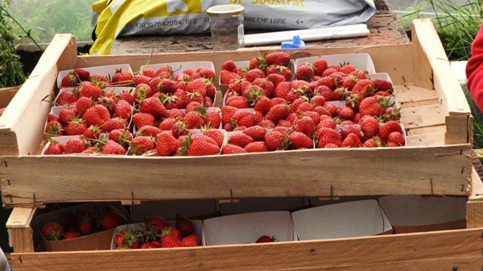 Gaec Le Verger sur la Côte