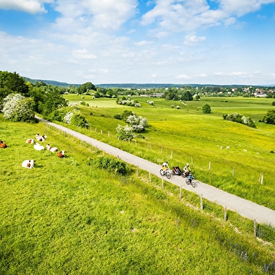 La Voie PLM Marigny Champagnole