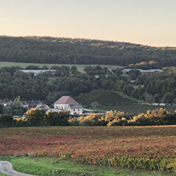 Domaine d'Aubigny - ALUZE