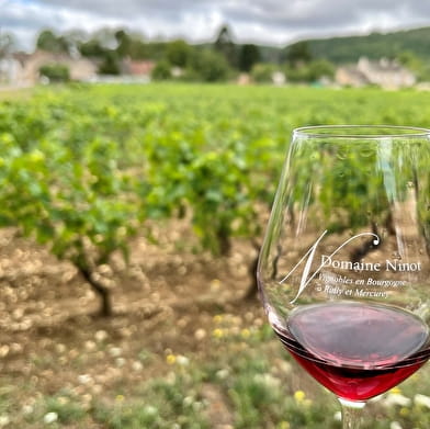 Domaine Ninot (Au coeur des vignes de Rully)