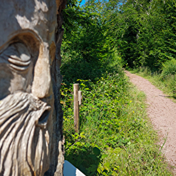 Sentier d'interprétation - Etang de Niffond - VARENNES-VAUZELLES