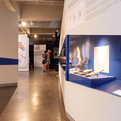 Musée de préhistoire de Solutré