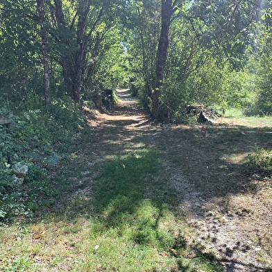 Randonnée - La vallée du Landeyron