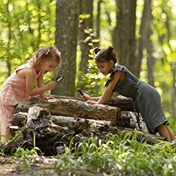 Visite animée de la ferme du Château - SAINT-FARGEAU