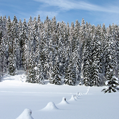 Site Nordique de Gilley