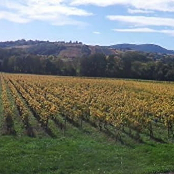 Domaine des Pérelles - Jean-Yves Larochette - CHANES