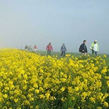 Comité Départemental de la Randonnée Pédestre - AUXERRE