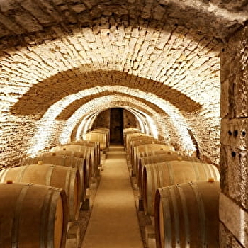 Château de Saint-Aubin - Maison Prosper Maufoux : Expérience Prestige - SAINT-AUBIN