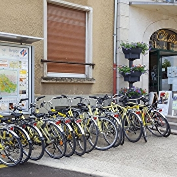 Office de Tourisme Chablis, Cure, Yonne et Tonnerrois - Location de vélos - CHABLIS