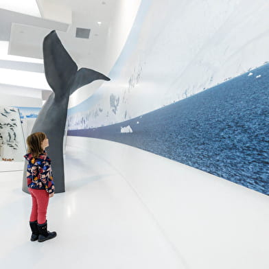 Musée de l'Espace des Mondes Polaires Paul-Émile Victor