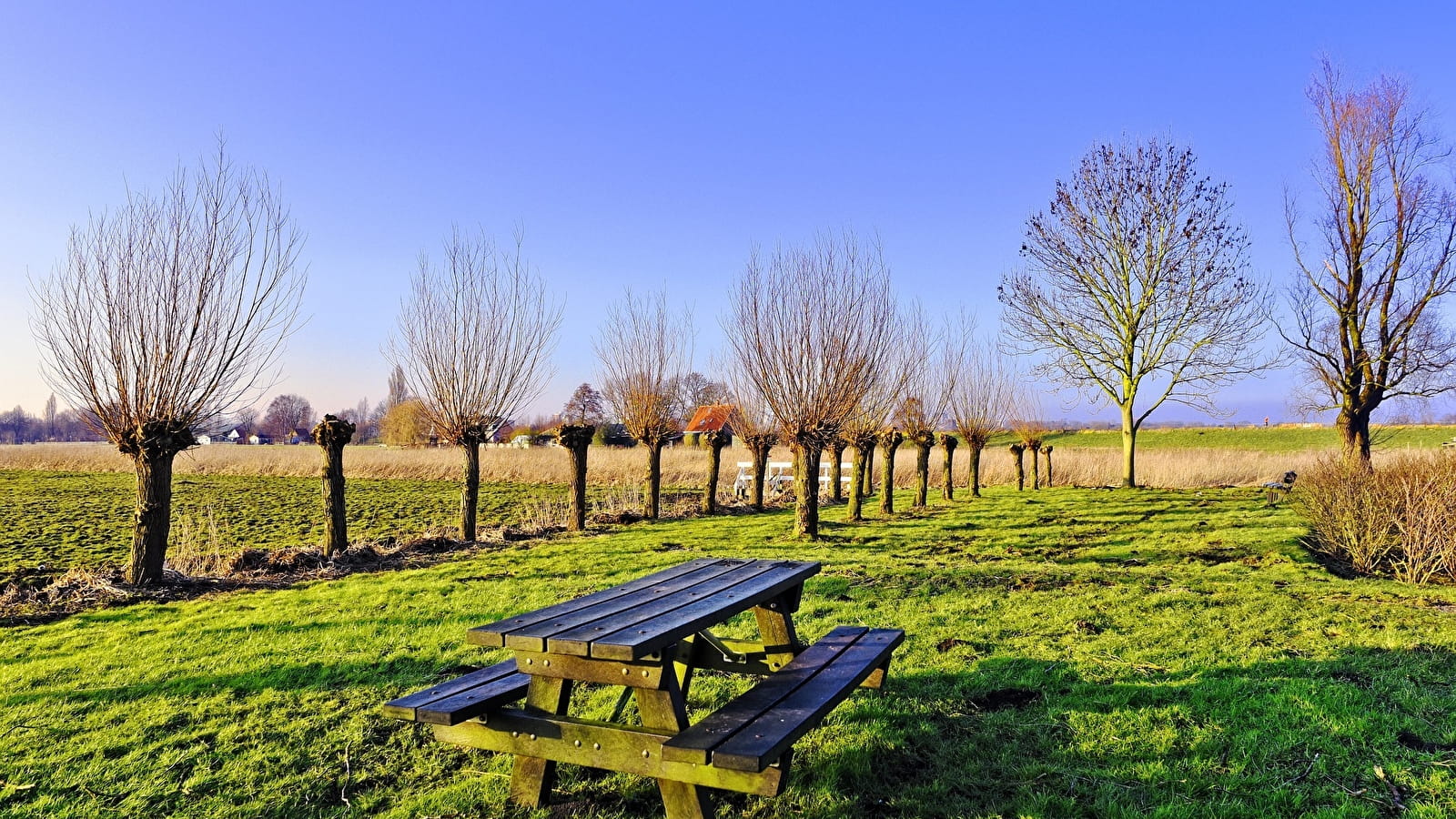 Aire de pique-nique de Nautiloue à Ornans
