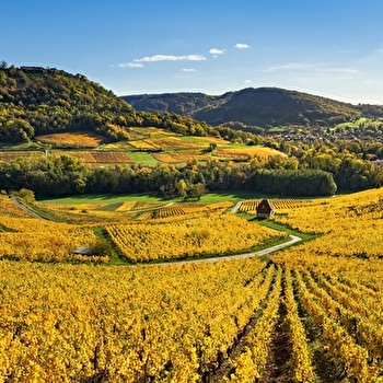 Le Vignoble - 6R - VOITEUR