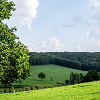 Circuit des Forges - DONZY