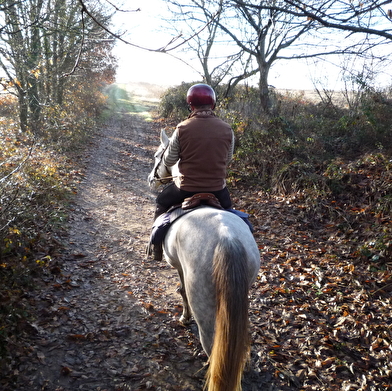 Tour équestre du Morvan