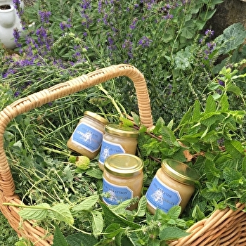 Visite découverte aux Ruchers de Darbois - BUNCEY