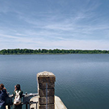Balade famille : Le sentier du Héron cendré à l'étang de Vaux - 