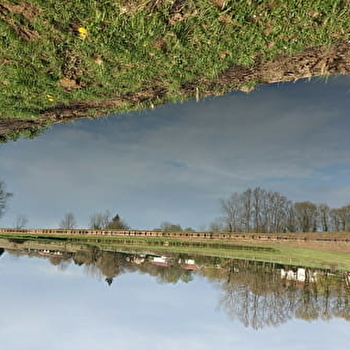 Etang communal Les Prés de la Vavre - MONTPONT-EN-BRESSE
