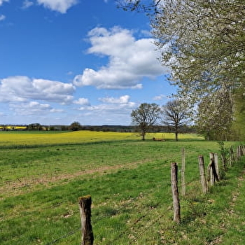 Circuit VTT du Bazois : entre bocage et Bois de Dély - CHATILLON-EN-BAZOIS