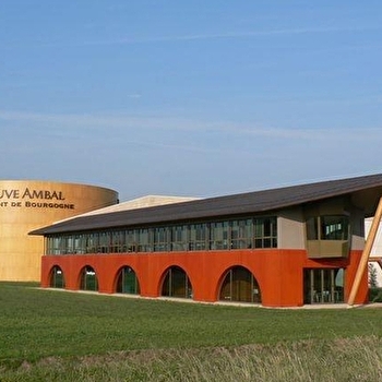 Veuve Ambal - La boutique - MONTAGNY-LES-BEAUNE