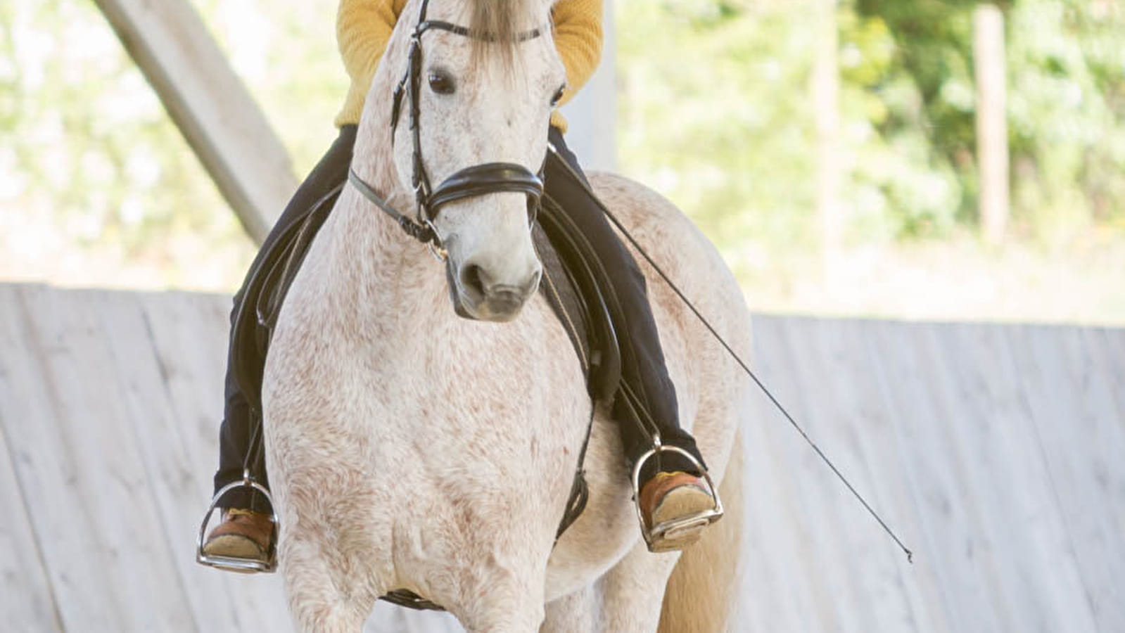 Les Chevaux de Beltane