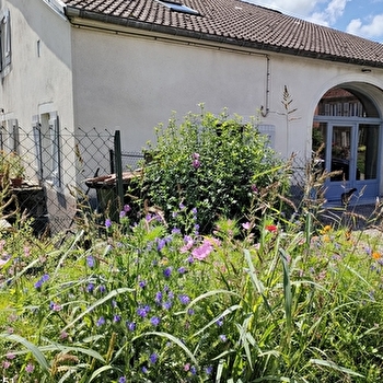 Home Edwige - FRESSE