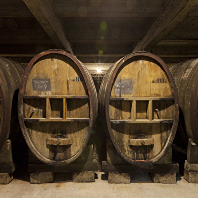 Fruitiere Vinicole d'Arbois - Château Béthanie