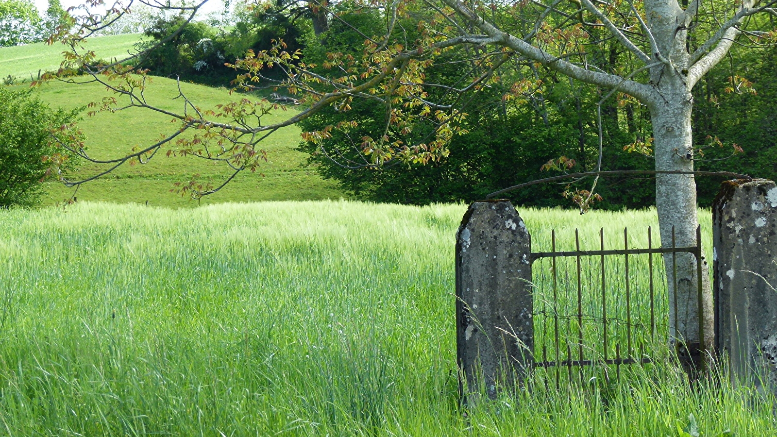 Balade - Verjon et Salavre, deux villages du Revermont