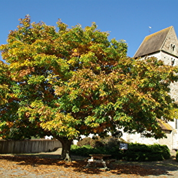 Aire de pique nique à côté de l'église - MALTAT
