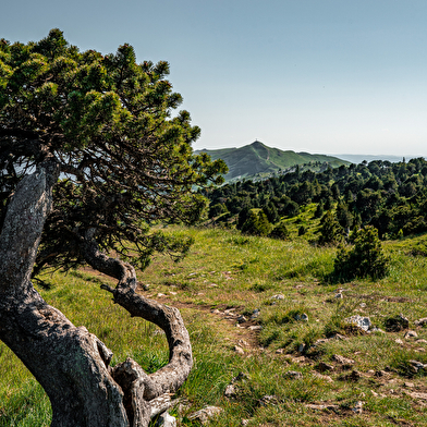 Randonnée pédestre : Thoiry les Hauts Sommets