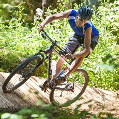 Bike Park de Longchaumois