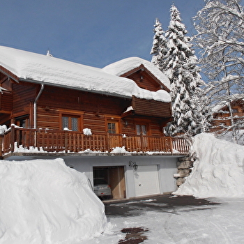 Gîte dans chalet - M. Poux-Berthe - MORBIER