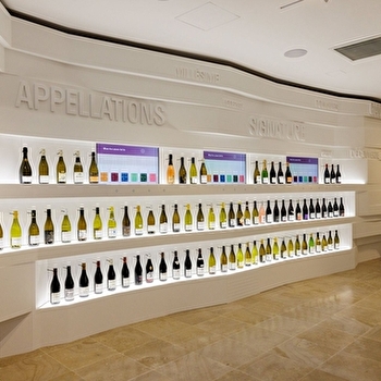 Découvrir les vins du Sud Bourgogne - MACON