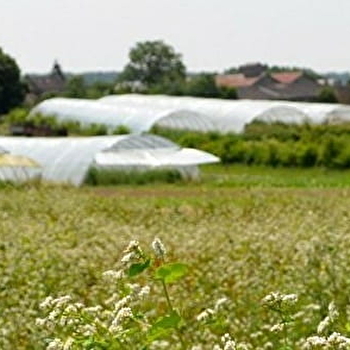 La Ferme aux Cailloux - ARCES-DILO