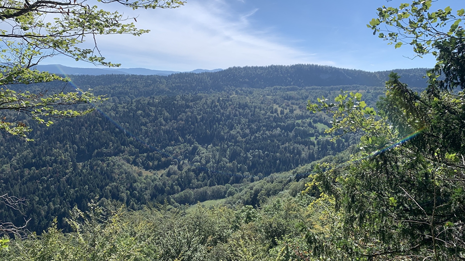 Randonnée - La Forêt de Niermes