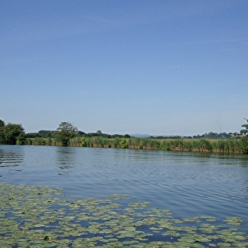 Entre Seille et Saône - LOUHANS