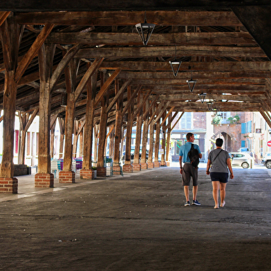 Itinérance L'Ain à Vélo - Entre Dombes et Val de Saône (2 jours)
