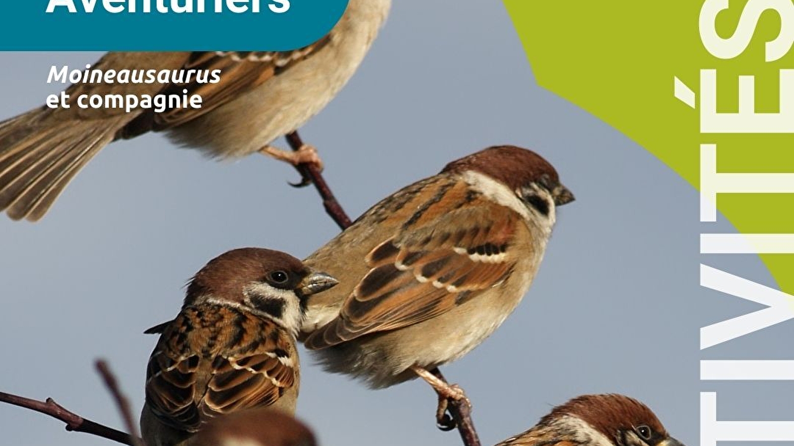 Les Tout-petits Aventuriers - matinée nature pour les moins de 6 ans - spéciale 'Moineausaurus et compagnie'